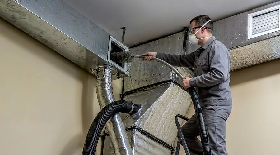 Can Pests Live Inside Air Ducts? What Homeowners Should Know